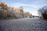 park_ilm_belvedere_weimar_orig_12_2016_083