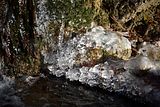 park_ilm_belvedere_weimar_orig_12_2016_087