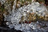 park_ilm_belvedere_weimar_orig_12_2016_088