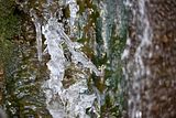 park_ilm_belvedere_weimar_orig_12_2016_089