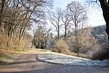 park_ilm_belvedere_weimar_orig_12_2016_094