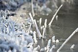 park_ilm_belvedere_weimar_orig_12_2016_096
