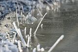 park_ilm_belvedere_weimar_orig_12_2016_097