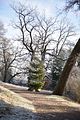 park_ilm_belvedere_weimar_orig_12_2016_101