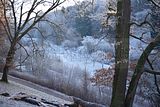 park_ilm_belvedere_weimar_orig_12_2016_107