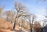 park_ilm_belvedere_weimar_orig_12_2016_109