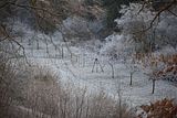 park_ilm_belvedere_weimar_orig_12_2016_110