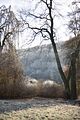 park_ilm_belvedere_weimar_orig_12_2016_121