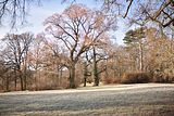 park_ilm_belvedere_weimar_orig_12_2016_122