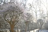 park_ilm_belvedere_weimar_orig_12_2016_127