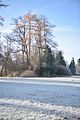 park_ilm_belvedere_weimar_orig_12_2016_129