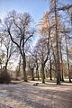 park_ilm_belvedere_weimar_orig_12_2016_130
