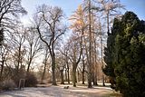 park_ilm_belvedere_weimar_orig_12_2016_131