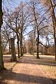 park_ilm_belvedere_weimar_orig_12_2016_132