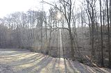zeitzgrund_02_2017_018