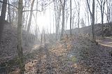 zeitzgrund_02_2017_019