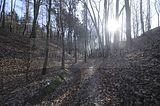 zeitzgrund_02_2017_021