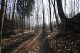zeitzgrund_02_2017_022