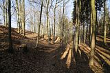zeitzgrund_02_2017_023