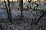 zeitzgrund_02_2017_026