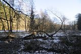 zeitzgrund_02_2017_034