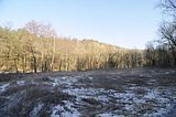 zeitzgrund_02_2017_035