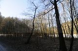 zeitzgrund_02_2017_037
