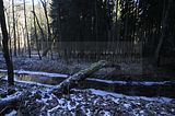 zeitzgrund_02_2017_038