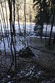 zeitzgrund_02_2017_041