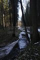 zeitzgrund_02_2017_042