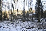 zeitzgrund_02_2017_044