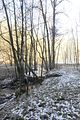 zeitzgrund_02_2017_049