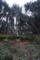 zeitzgrund_02_2017_052
