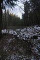zeitzgrund_02_2017_053
