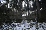 zeitzgrund_02_2017_058