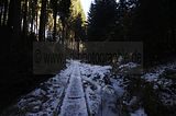 zeitzgrund_02_2017_062