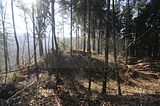 zeitzgrund_02_2017_063
