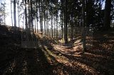 zeitzgrund_02_2017_067