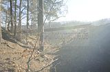 zeitzgrund_02_2017_072