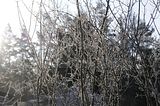 zeitzgrund_02_2017_085