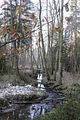 zeitzgrund_02_2017_086