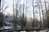 zeitzgrund_02_2017_088