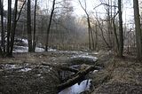 zeitzgrund_02_2017_089