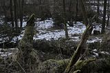 zeitzgrund_02_2017_090