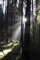 zeitzgrund_02_2017_101
