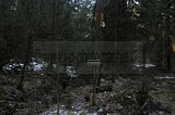 zeitzgrund_02_2017_103