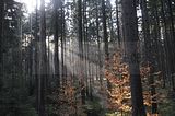 zeitzgrund_02_2017_104