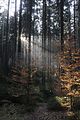 zeitzgrund_02_2017_105