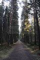zeitzgrund_02_2017_106