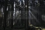 zeitzgrund_02_2017_107